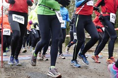 16um_2015_fw_1220112