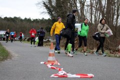 hs_IMG_4442