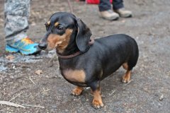 hs_IMG_4511