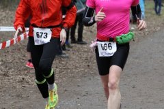 hs_IMG_4536