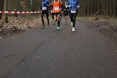 hs_IMG_4575
