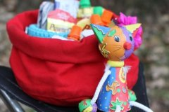 hs_IMG_4598