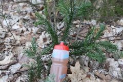 hs_IMG_4603