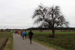 hs_IMG_4638