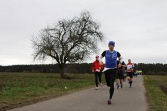 hs_IMG_4656