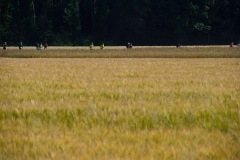 2022_06_18_rlt_ultra_ww_P2550064