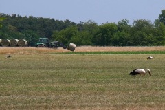 2022_06_18_rlt_ultra_ww_P2560550