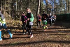 2024-01-27_03_rlt_ultra_holg_1708