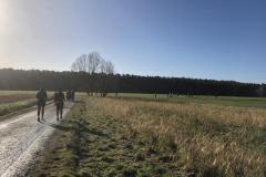 2024-01-27_04_rlt_ultra_holg_1875