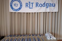 20250125_rlt_ultra_diverse_15