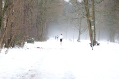 a_000000021a_20260131_rlt_ultra4