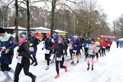 c_000000033_20260131_rlt_ultra